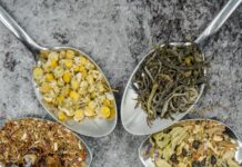 소화불량 해결을 위한 자연 요법 seven different spices and herbs on gray stainless steel spoons