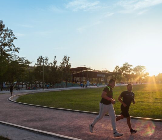 걷기와 조깅으로 환절기 건강 챙기기 people playing basketball on green grass field during daytime