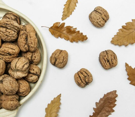 피로 회복을 위한 영양 전략 brown walnuts on beige ceramic bowl