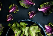 자연 식품의 힘: 건강을 위한 필수 선택 purple and green vegetable in black bowl
