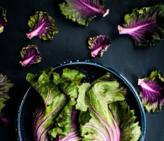 자연 식품의 힘: 건강을 위한 필수 선택 purple and green vegetable in black bowl