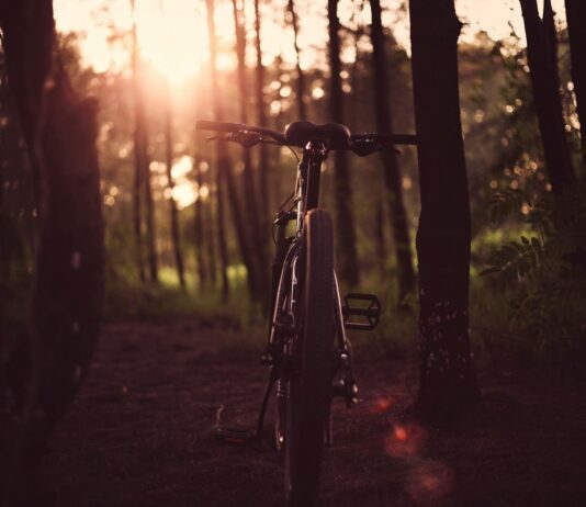 겨울철 스트레스 해소를 위한 운동 가이드 bicycle between trees in sunset