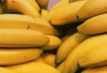 고혈압 관리: 일상 속에서 혈압을 낮추는 방법 yellow banana fruits