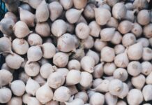 면역 체계를 강화하는 10가지 음식 garlic lot