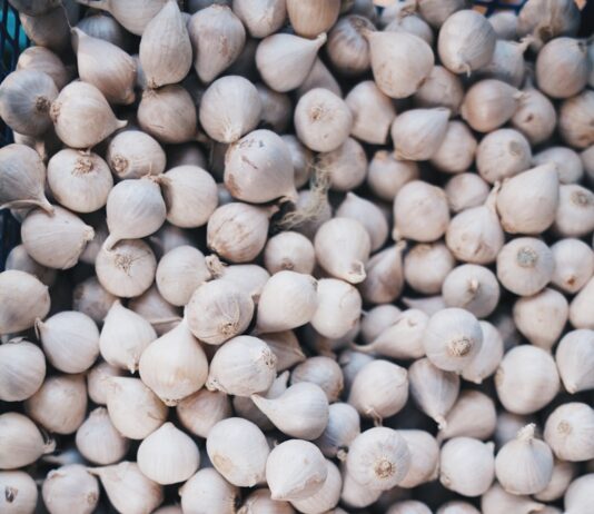 면역 체계를 강화하는 10가지 음식 garlic lot