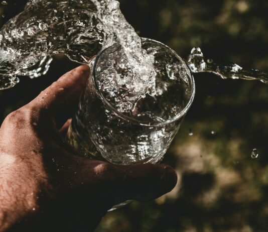 디톡스식단으로 건강한 간 만들기 person holding drinking glass filled with water