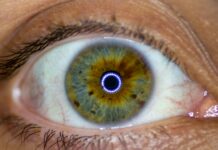 장시간 디지털 기기 사용, 눈 건강 위협…관리법은? a close up of a person's eye with an iris