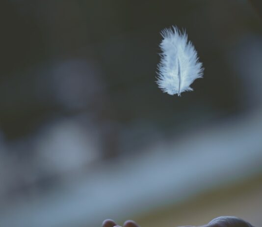 마음의 평화를 찾아가는 여정, 명상의 힘 shallow focus photography of white feather dropping in person's hand
