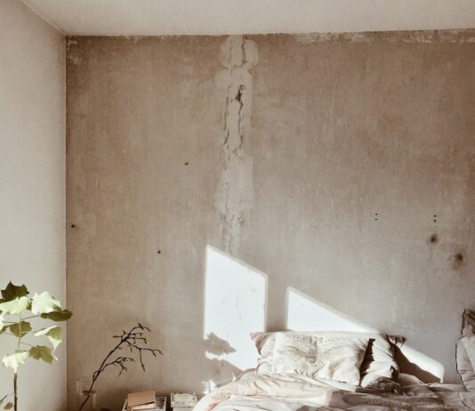 “잘 자야 잘 산다”… 바쁜 일상 속, 달라진 수면 관리법 leaf plant near bed