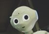 일상 속 AI 건강 관리, 똑똑하게 챙기는 법 white robot toy holding black tablet