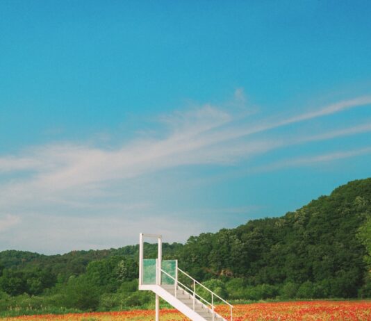일상 속에서 실천하는 새로운 웰니스 문화, 건강한 습관이 만든다 White staircase in a vibrant field of red poppies.